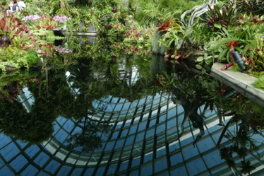 gardens by the bay.jpg